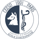 Logo CEESO